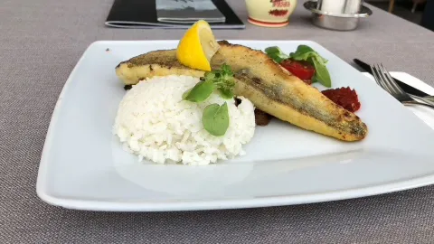 Halaszkert in Balatonfured