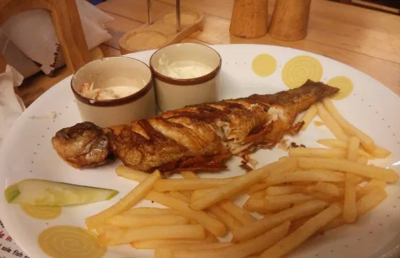 Troutbeat