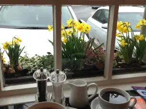 Tea and Tipple