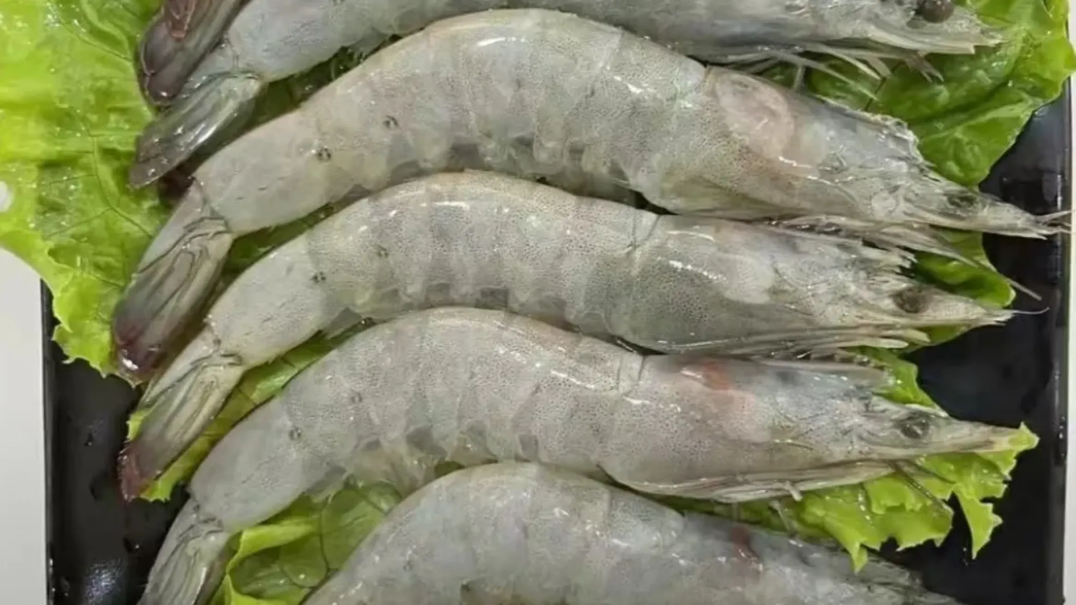 小东北特色烤肉(振兴街店)