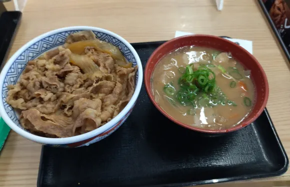 Yoshinoya Highway Route 204 Karatsu Store