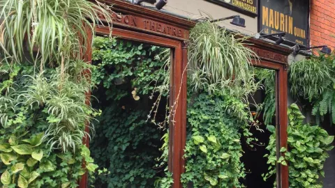 The Blind Lemon in Cincinnati
