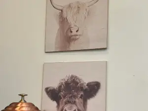 Johnson City Coffee Co.