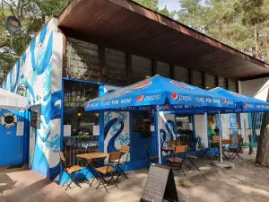Bistro pod Szprotem