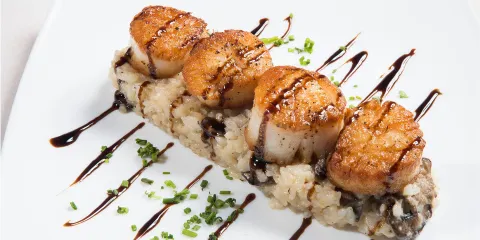 Blackwall Hitch Annapolis