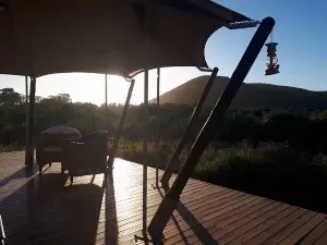 ParkView Safari Lodge