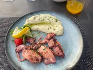 Restaurant & Bar Cibus