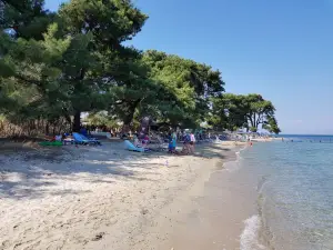 ARRIBA CHILL OUT BEACH BAR