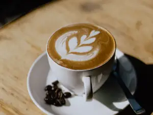The Mudcup Cafe