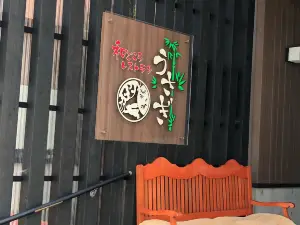 Usagi