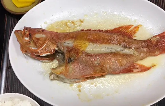 Kaisen Ryori Shima