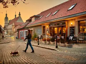 Restaurant & Pension Patriot