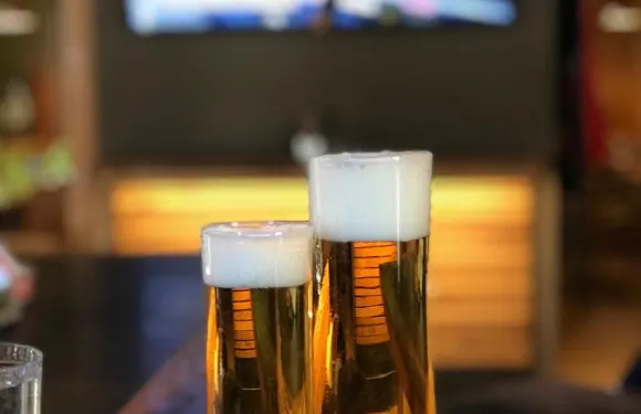 Mesnerhaus