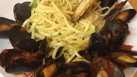 Cafe Classico in 스크랜턴