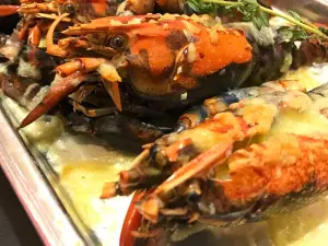 Elixir Kitchen
