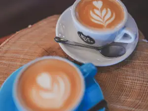 Gallery and cafe Ve Vezi