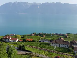 Hotel Prealpina