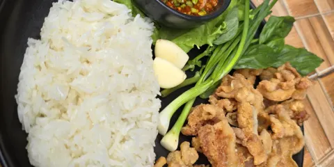 Khao Sok Bistro & Bar