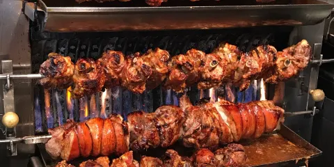 Schweine Janes Altstadt