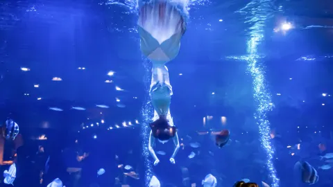 Ocean Blue Restaurant in China