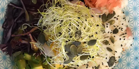 You Sushi