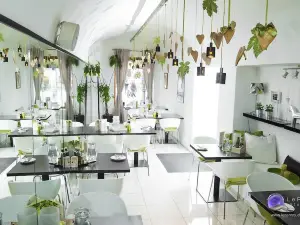 Olivo Pizza Restaurant