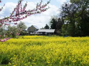 Garden大きなくりの木の下で
