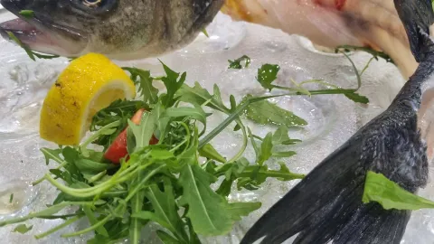 De Palma Pizzeria & Ristorante in 尤寧城