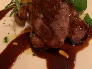 Hippopotamus