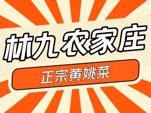 林九农家庄