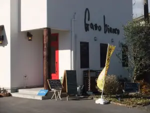 Gatto Bianco