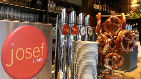 Josef Linz in Linz