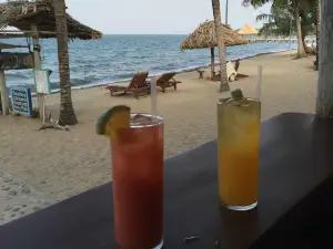 The Barracuda