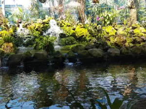 Yamabiko Koiya
