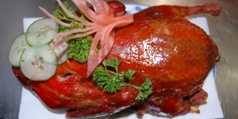 Dragon Asia-Restaurant