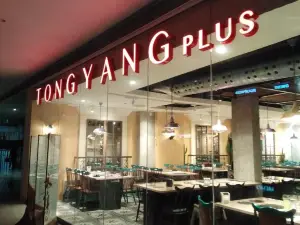 Tong Yang Plus