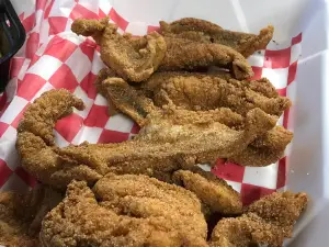 Catfish Heaven