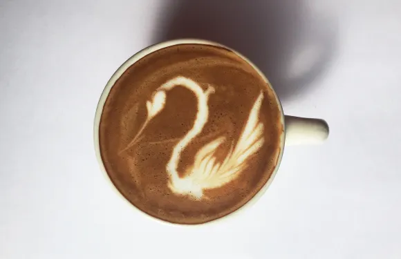 The Coffee Compound