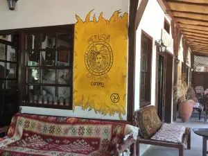 Medusa Bar