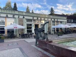 Kawiarnia Zdrojowa