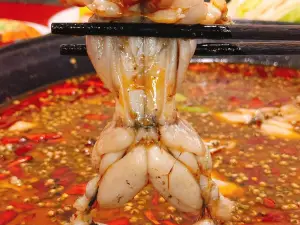 随缘鱼庄