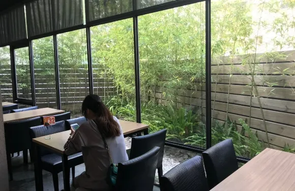 Yoshi-Omori （Taichung Liming）