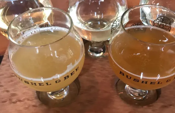 Bushel & Bee Taproom