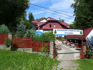Stana de Vale