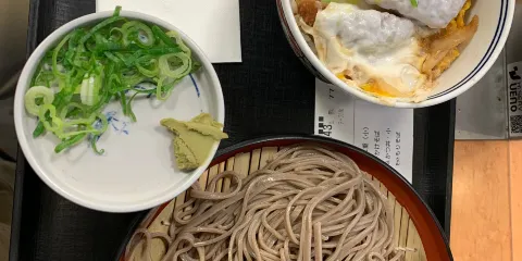 Yoshinoya Ashigara Sa Downline