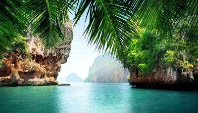 แผนประกันภัยการเดินทางภายในประเทศจากชับบ์ (เที่ยวเดียว)