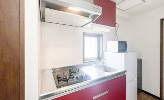 Anri Kitadume Osaka Castle