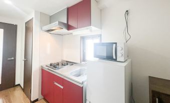 Anri Kitadume Osaka Castle