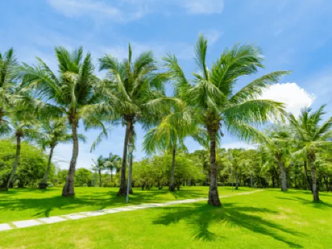 Holiday Parks in Miami
