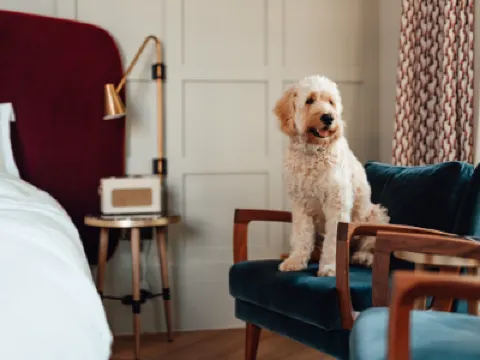 ホラデイ ペット可ホテル